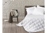 Nórdico Eiderdown 100% Duvet Eider Clase 1 80 gr