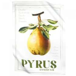 Paño cocina sarga Pera