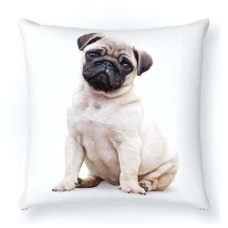 Cojín estampado perro Carlino