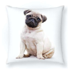 Cojín estampado perro Carlino