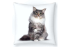 Cojín estampado gato