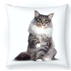 Cojín estampado gato