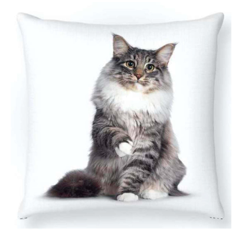 Cojín estampado gato
