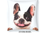 Cojín estampado perro Buldog