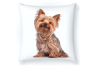 Cojín estampado perro Yorkshire