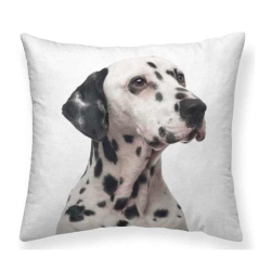 Cojín estampado perro Dálmata