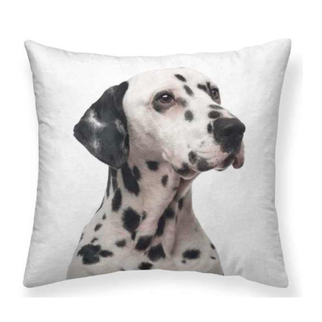 Cojín estampado perro Dálmata