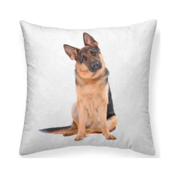 Cojín estampado perro Pastor