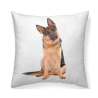 Cojín estampado perro Pastor
