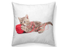 Cojín estampado puppy gato