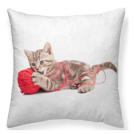 Cojín estampado puppy gato